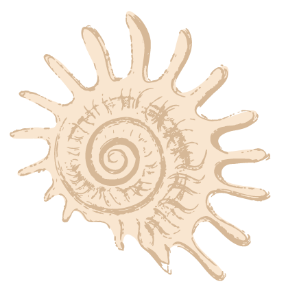 קייטנה-לגלישה